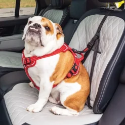 Kong Ultimate Safety Tether