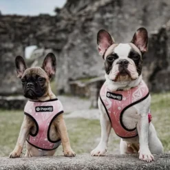 Pepolli Arn S 2-En-1 - Bali