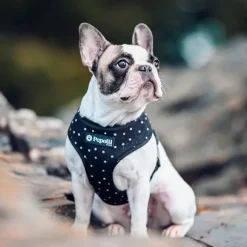 Pepolli Arn S 2-En-1 - Galaxy