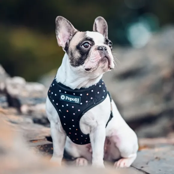 Pepolli Arn S 2-En-1 - Galaxy