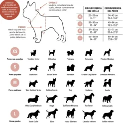 Pepolli Arn S 2-En-1 - Hawaii
