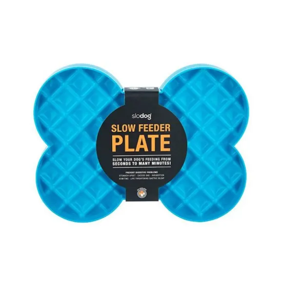 Plato Interactivo Slodog - Turquesa