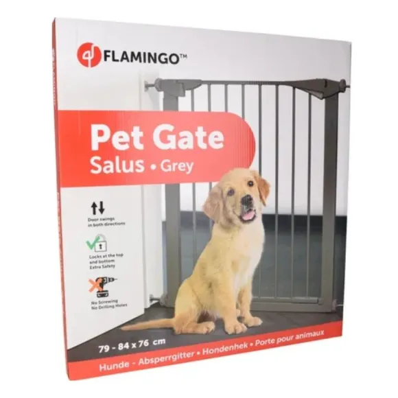 Puerta De Seguridad Salus Gris