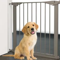 Puerta De Seguridad Salus Gris