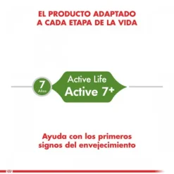 Royal Canin Adulto Active 7+ Alimento Para Gato