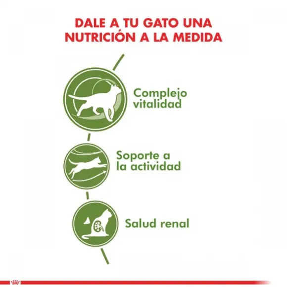 Royal Canin Adulto Active 7+ Alimento Para Gato