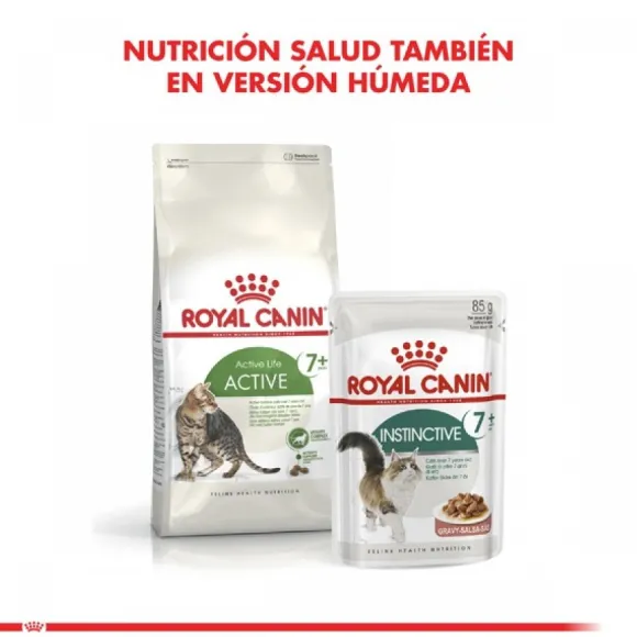 Royal Canin Adulto Active 7+ Alimento Para Gato