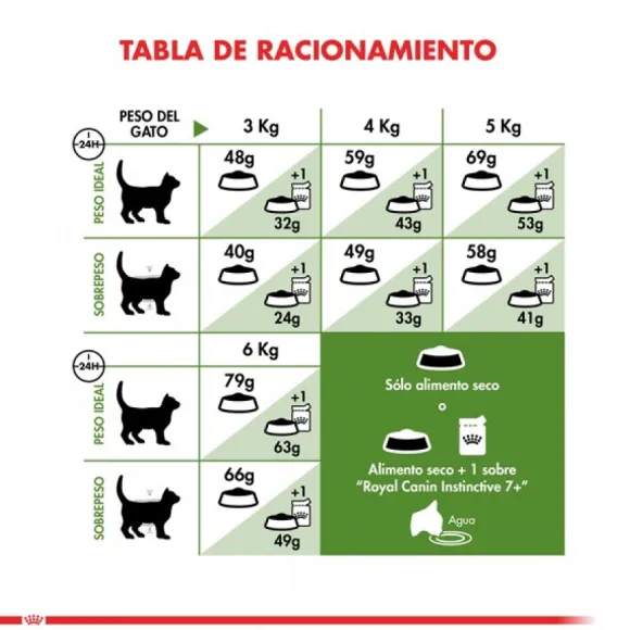 Royal Canin Adulto Active 7+ Alimento Para Gato