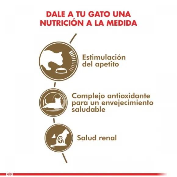 Royal Canin Adulto Ageing 12+ 2Kg Alimento Para Gato