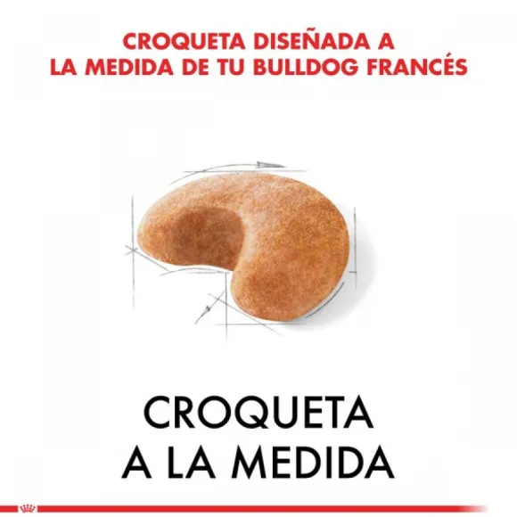 Royal Canin Adulto Bulldog Frances Alimento Para Perro