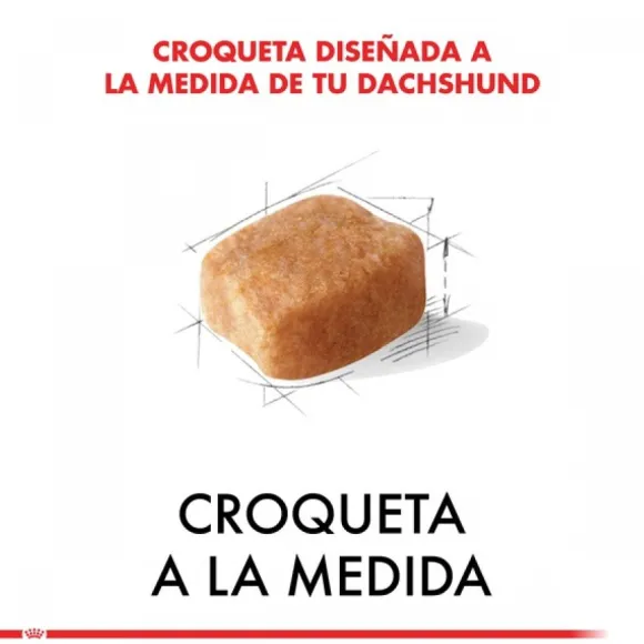 Royal Canin Adulto Dachshund Alimento Para Perro