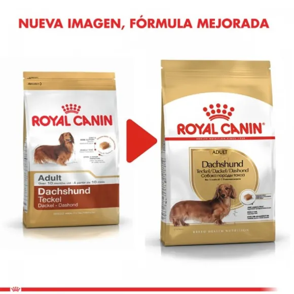 Royal Canin Adulto Dachshund Alimento Para Perro