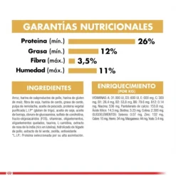 Royal Canin Adulto Dachshund Alimento Para Perro