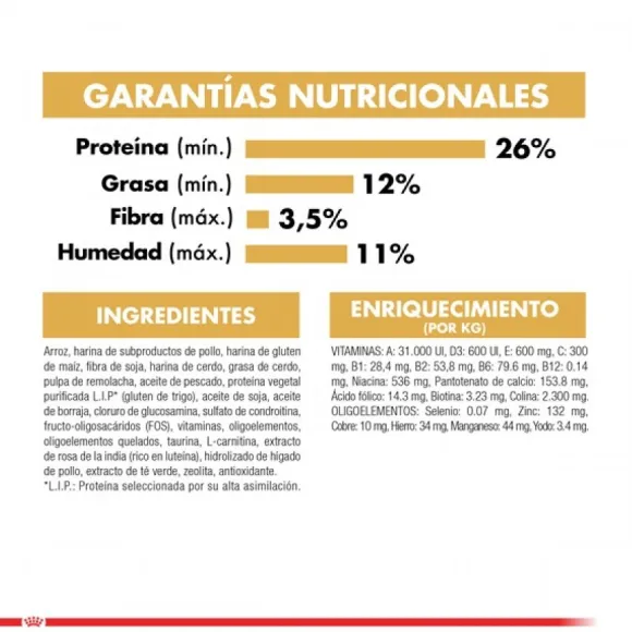 Royal Canin Adulto Dachshund Alimento Para Perro