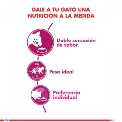 Royal Canin Adulto Exigent Alimento Para Gato