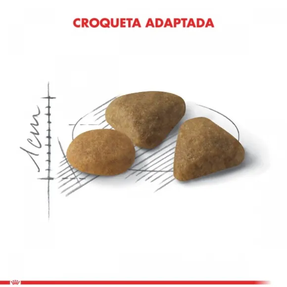 Royal Canin Adulto Exigent Alimento Para Gato