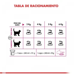 Royal Canin Adulto Exigent Alimento Para Gato