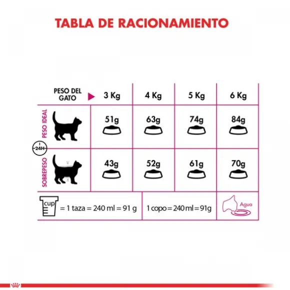 Royal Canin Adulto Exigent Alimento Para Gato