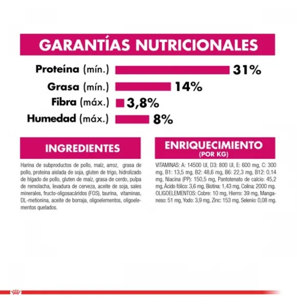 Royal Canin Adulto Exigent Alimento Para Gato