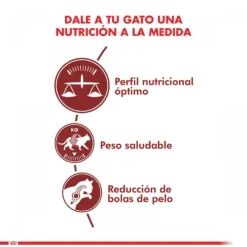 Royal Canin Adulto Fit Alimento Para Gato