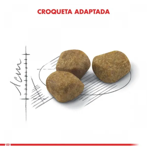 Royal Canin Adulto Fit Alimento Para Gato