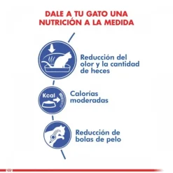 Royal Canin Adulto Indoor Alimento Para Gato