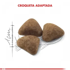 Royal Canin Adulto Indoor Alimento Para Gato