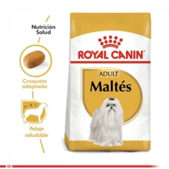 Royal Canin Adulto Maltes Adult Alimento Para Perro