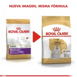 Royal Canin Adulto Maltes Adult Alimento Para Perro