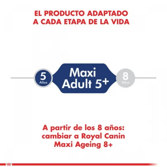 Royal Canin Adulto Maxi Adulto 5+ Alimento Para Perro
