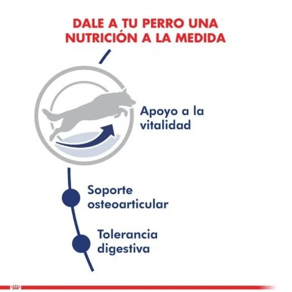 Royal Canin Adulto Maxi Adulto 5+ Alimento Para Perro