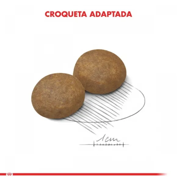 Royal Canin Adulto Maxi Adulto 5+ Alimento Para Perro