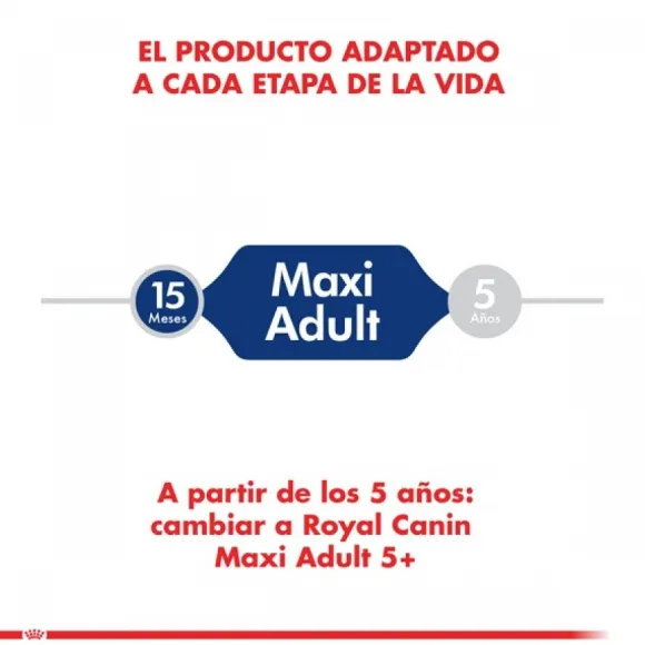Royal Canin Adulto Maxi Adult 15 Kg Alimento Para Perro
