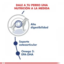 Royal Canin Adulto Maxi Adult 15 Kg Alimento Para Perro