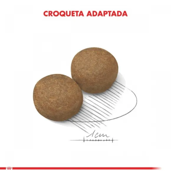 Royal Canin Adulto Maxi Adult 15 Kg Alimento Para Perro