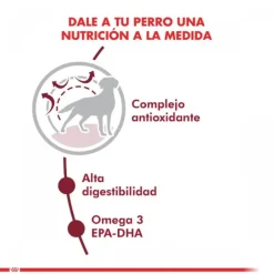 Royal Canin Adulto Medium Adult Alimento Para Perro