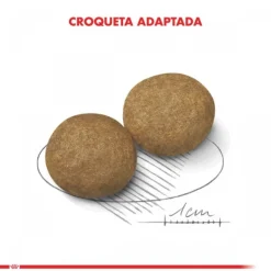 Royal Canin Adulto Medium Adult Alimento Para Perro