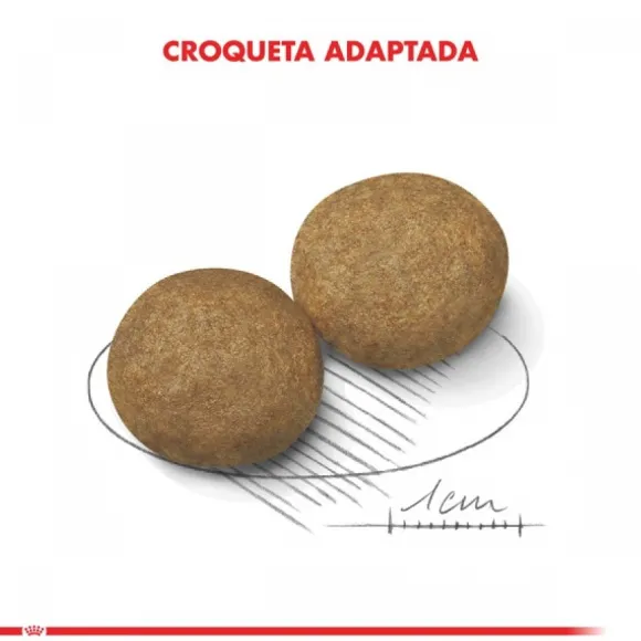 Royal Canin Adulto Medium Adult Alimento Para Perro
