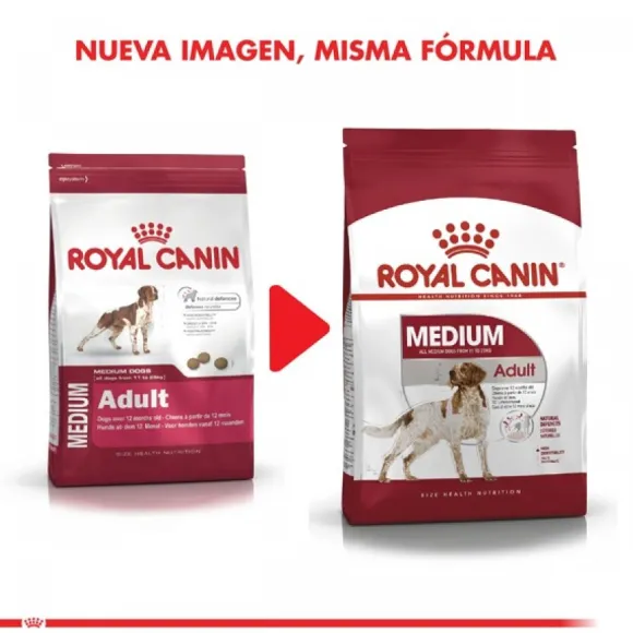 Royal Canin Adulto Medium Adult Alimento Para Perro