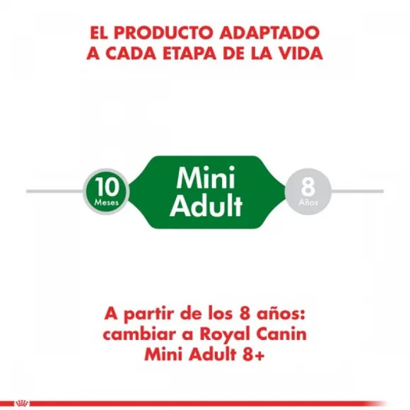 Royal Canin Adulto Mini Adult Alimento Para Perro