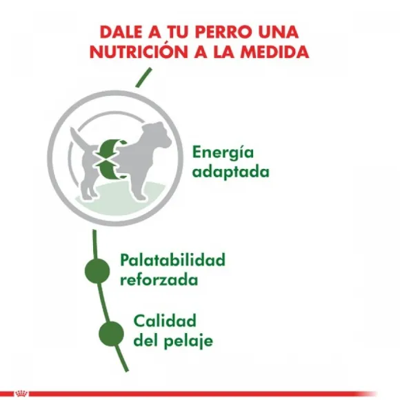 Royal Canin Adulto Mini Adult Alimento Para Perro