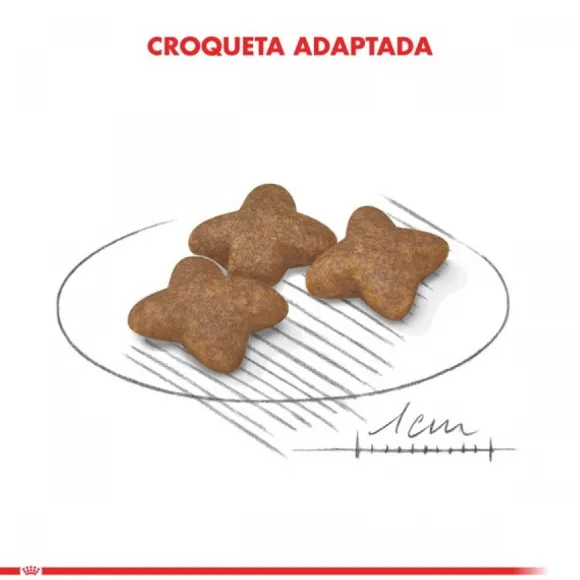 Royal Canin Adulto Mini Adult Alimento Para Perro