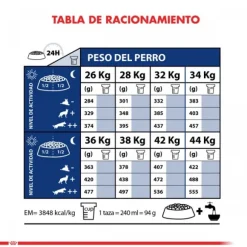 Royal Canin Adulto Mini Adult +8 Alimento Para Perro