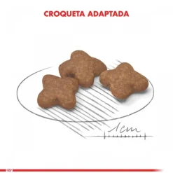 Royal Canin Adulto Mini Adult +8 Alimento Para Perro