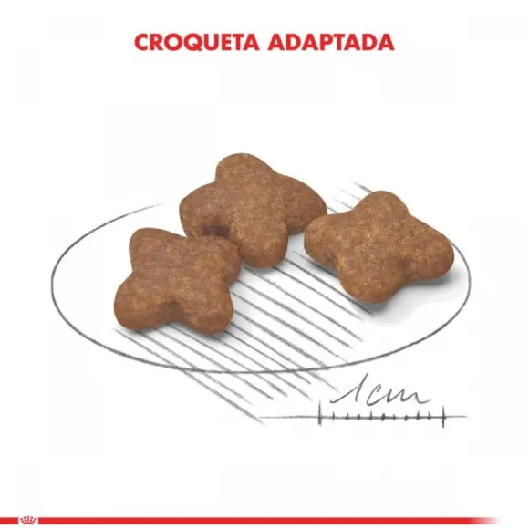 Royal Canin Adulto Mini Adult +8 Alimento Para Perro