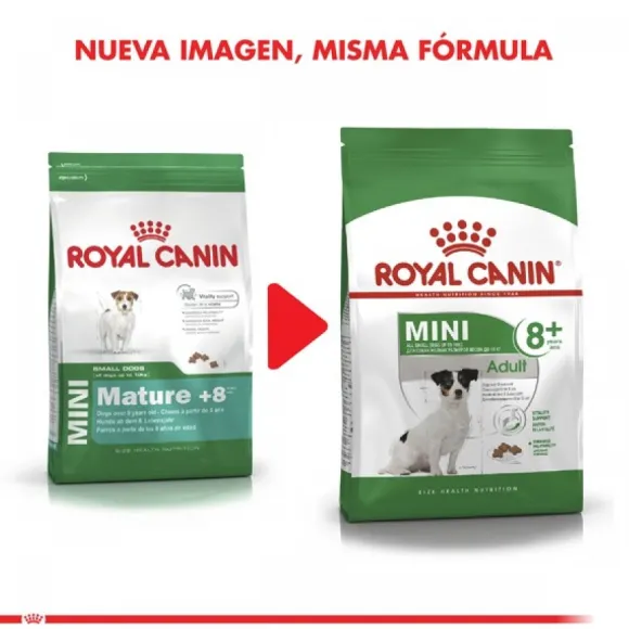 Royal Canin Adulto Mini Adult +8 Alimento Para Perro
