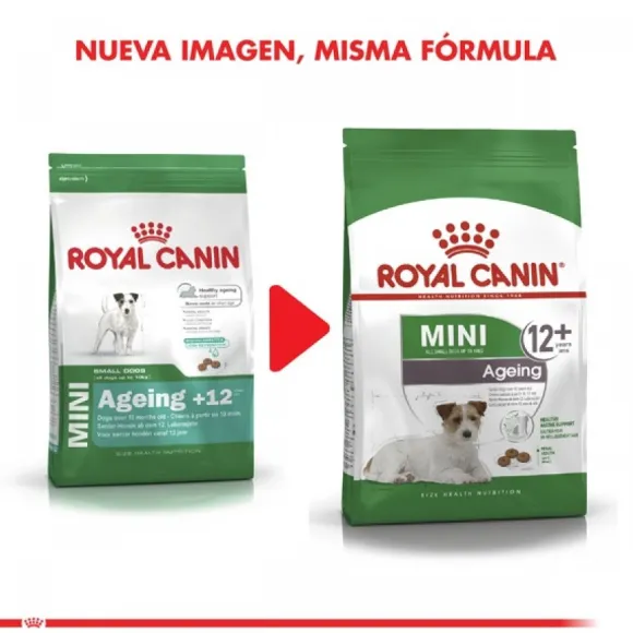 Royal Canin Adulto Mini Ageing 12+ Alimento Para Perro