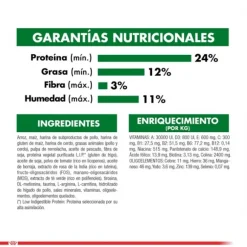 Royal Canin Adulto Mini Ageing 12+ Alimento Para Perro