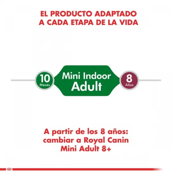 Royal Canin Adulto Mini Indoor Adult Alimento Para Perro