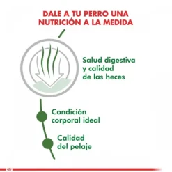 Royal Canin Adulto Mini Indoor Adult Alimento Para Perro